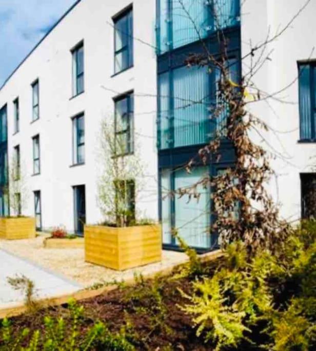 Ormeau Road Stylish Double Bedroom Luxury Apartment Белфаст Екстериор снимка